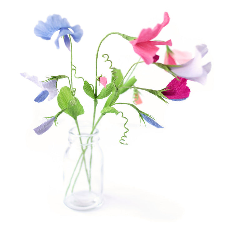 Atelier Pois de Senteur - Vendredi 16 Janvier 2026 - 15h