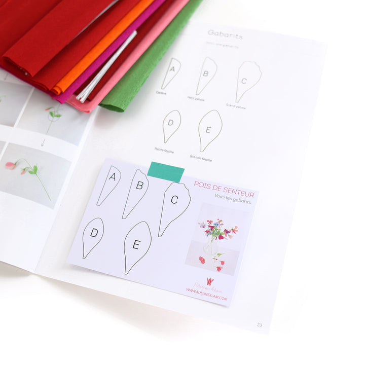 photo packshot de la carte de gabarits du kit bouquet pois de senteur dans les tons rouge carmin,, prune, roses, orange et vert moyen « passion » adeline klam