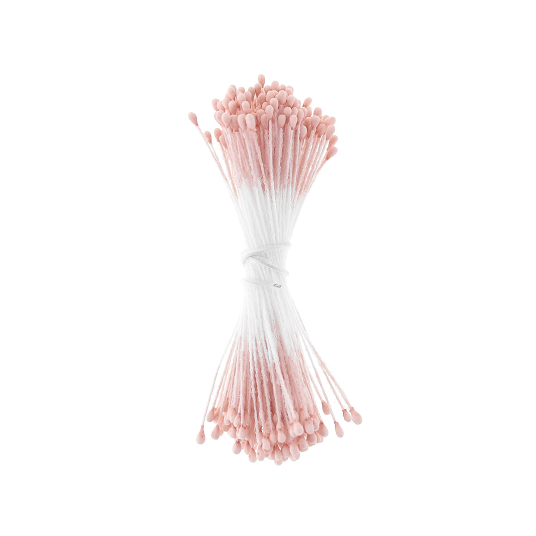 photo packshot du fagot de pistils de fleurs vieux rose et blancs 1060