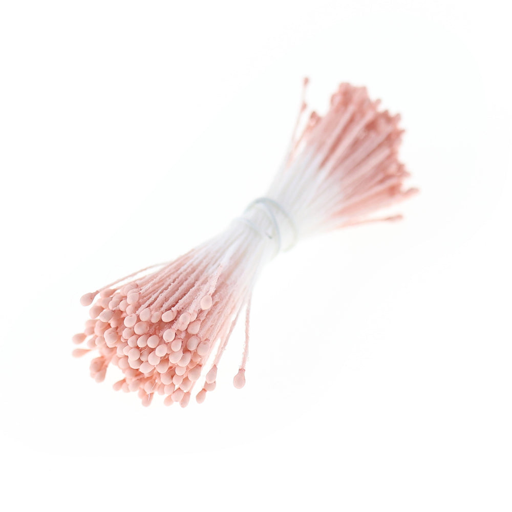 photo packshot du fagot de pistils de fleurs vieux rose et blancs 1060
