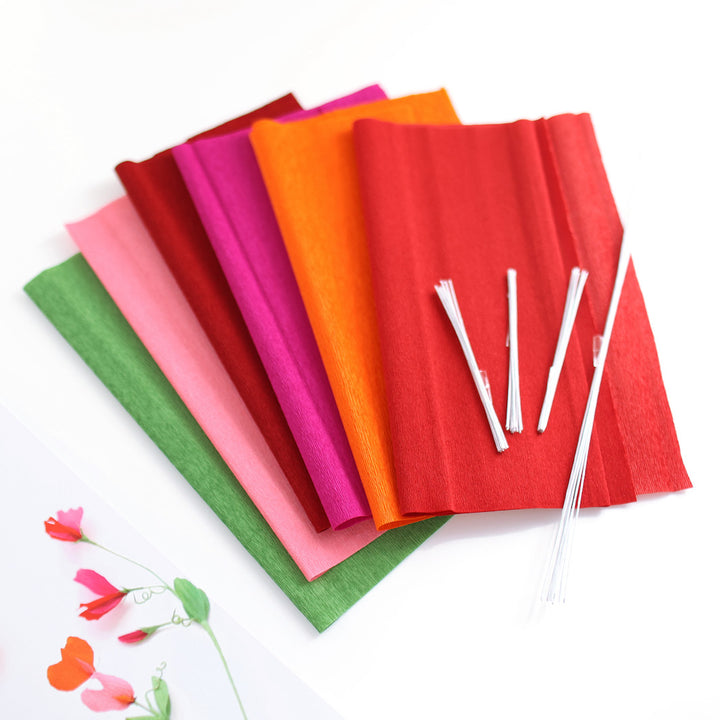 photo packshot du matériel du kit bouquet pois de senteur dans les tons rouge carmin,, prune, roses, orange et vert moyen « passion » adeline klam