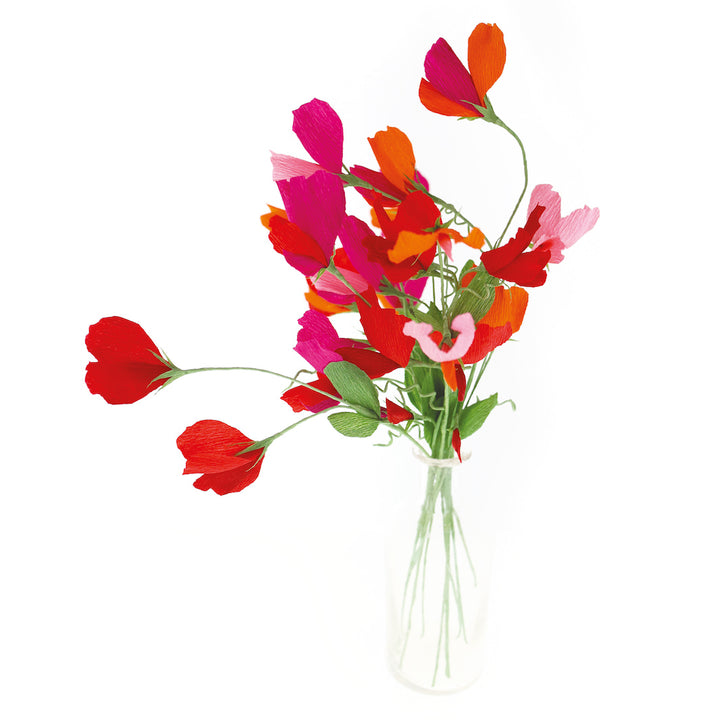 photo packshot des pois de senteur montés posés du kit bouquet pois de senteur dans les tons rouge carmin,, prune, roses, orange et vert moyen « passion » adeline klam