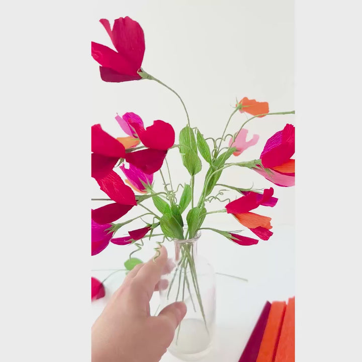 vidéo du kit bouquet pois de senteur dans les tons rouge carmin,, prune, roses, orange et vert moyen « passion » adeline klam