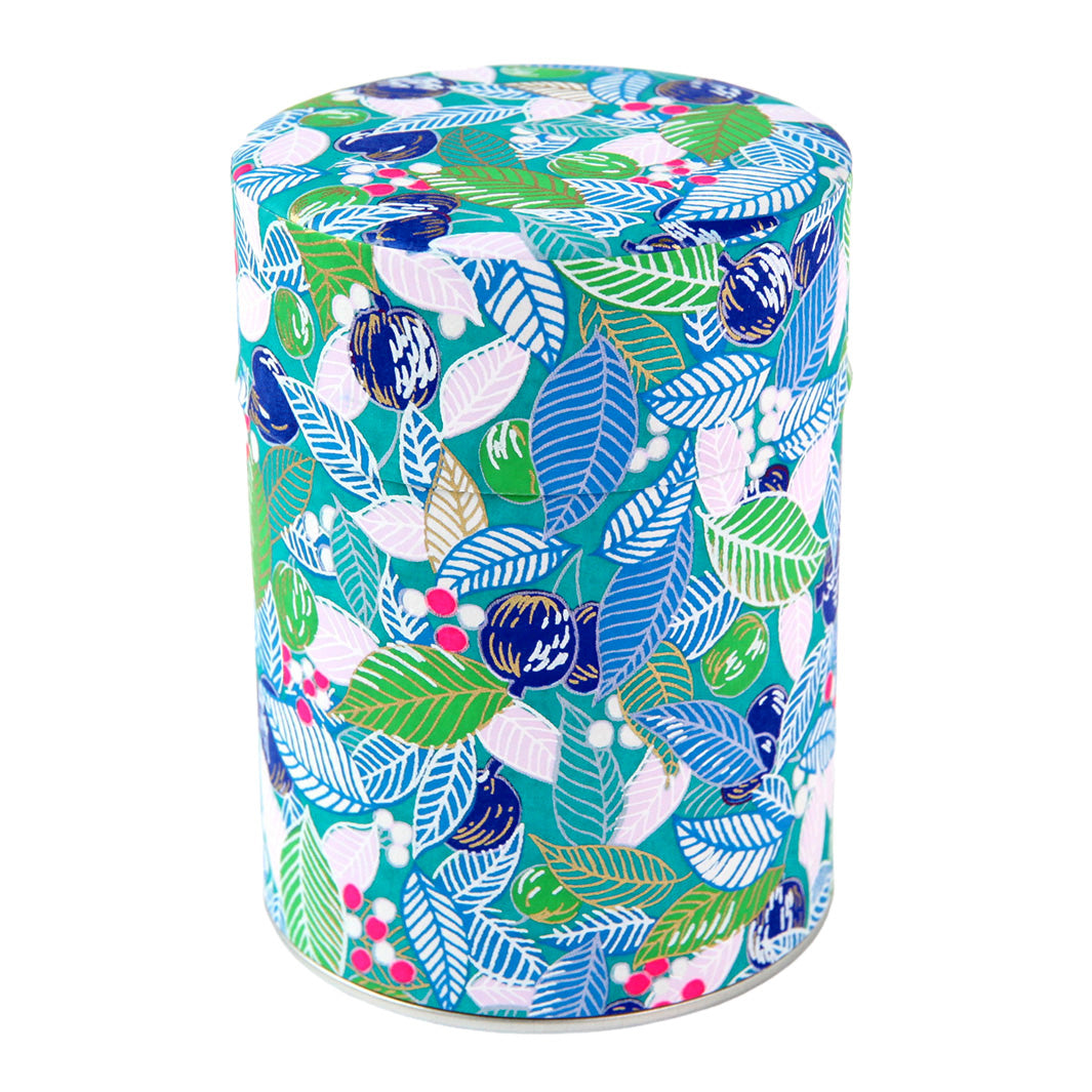 Boîte à Thé - Feuilles, Baies et Fruits - Turquoise, Bleu et Vert - M854