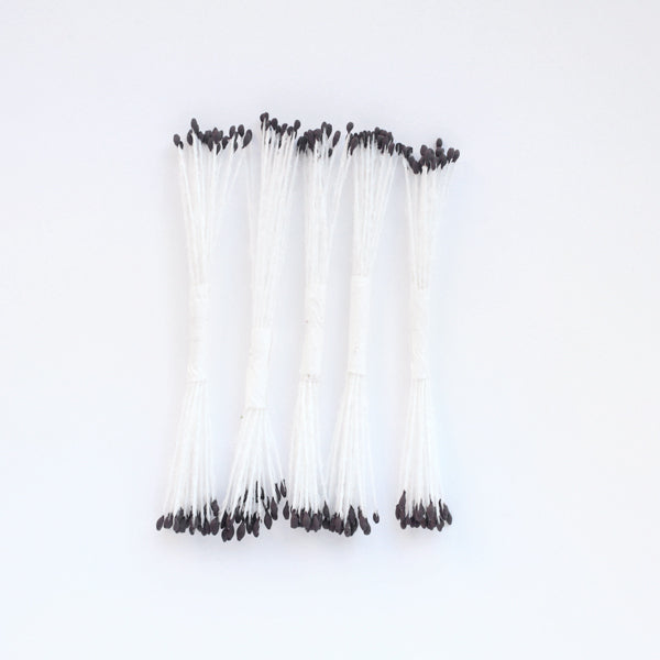 Pistils de fleur Blanc et marron - Petits