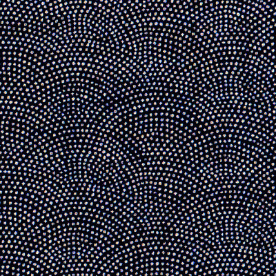 Tissu japonais Vagues pointillés samekomon blanc fond noir - T079