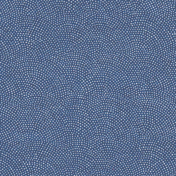 Tissu japonais Vagues pointillés samekomon blanc fond bleu - T211