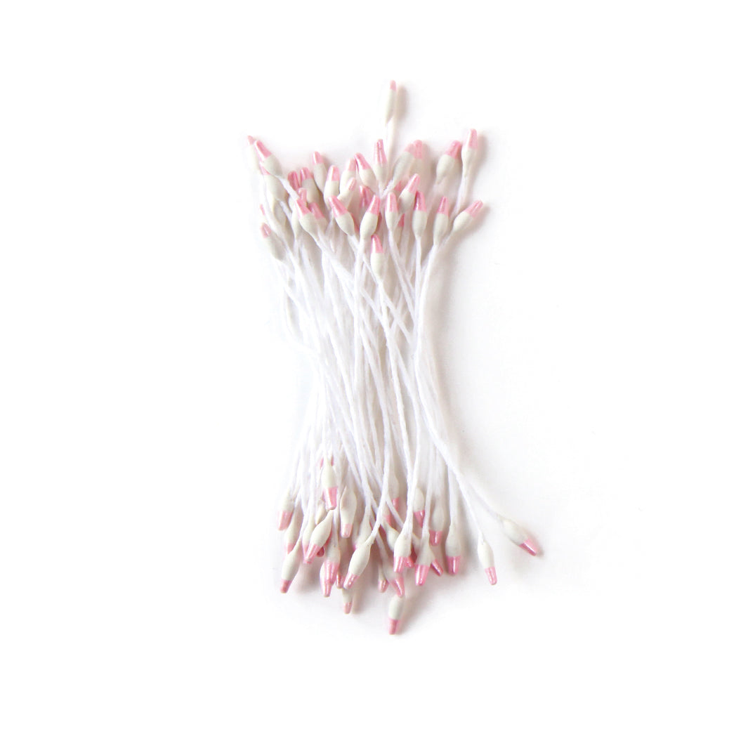 Fagot de Pistils de Fleurs - Blanc et Rose Pâle - 1050