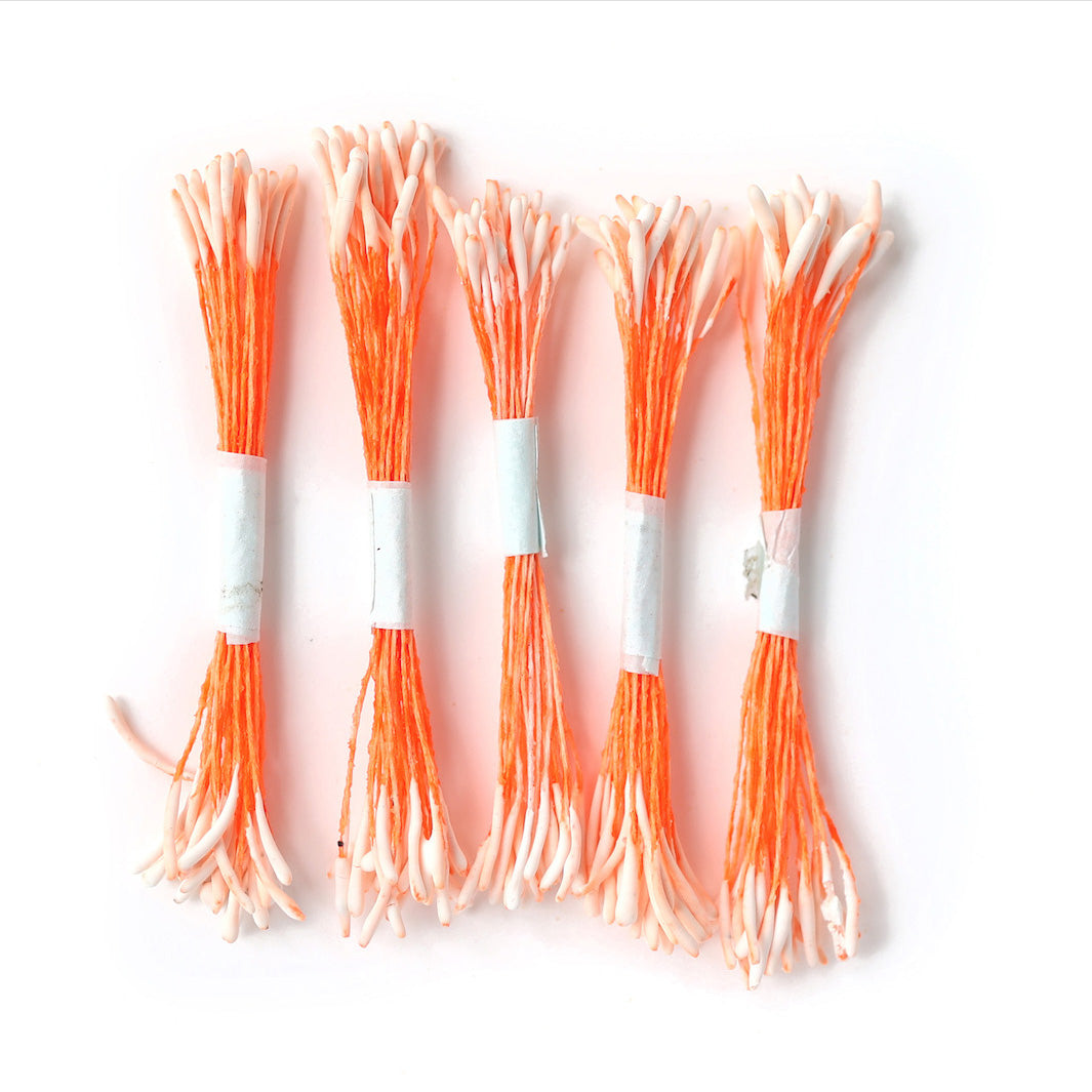 Lot de 5 Grands Fagots de Pistils de Fleurs - Orange Pâle et Vif - 1034