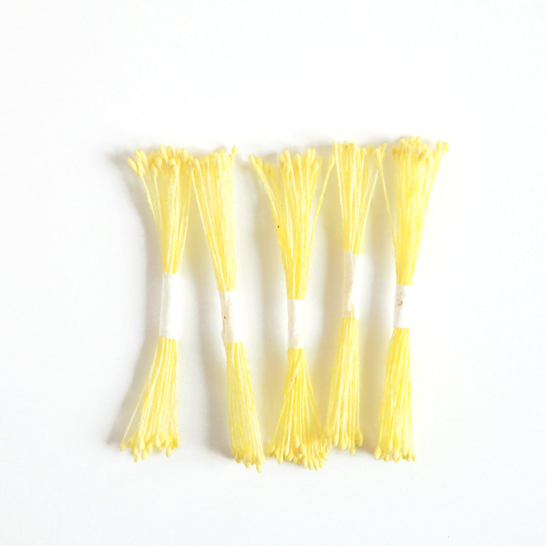 Lot de 5 fagots de pistils de fleurs - Jaune pâle - 212