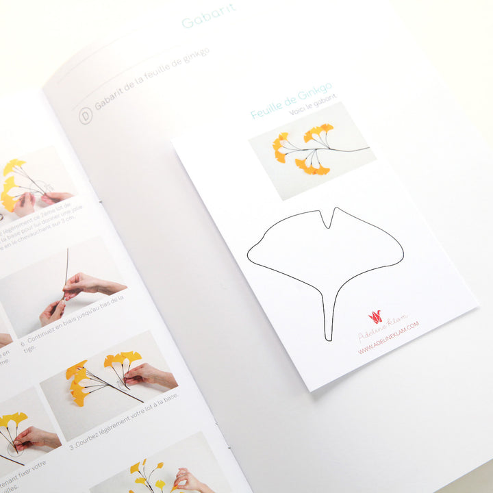 photo packshot du gabarit des kit 3 branches de ginkgo adeline klam