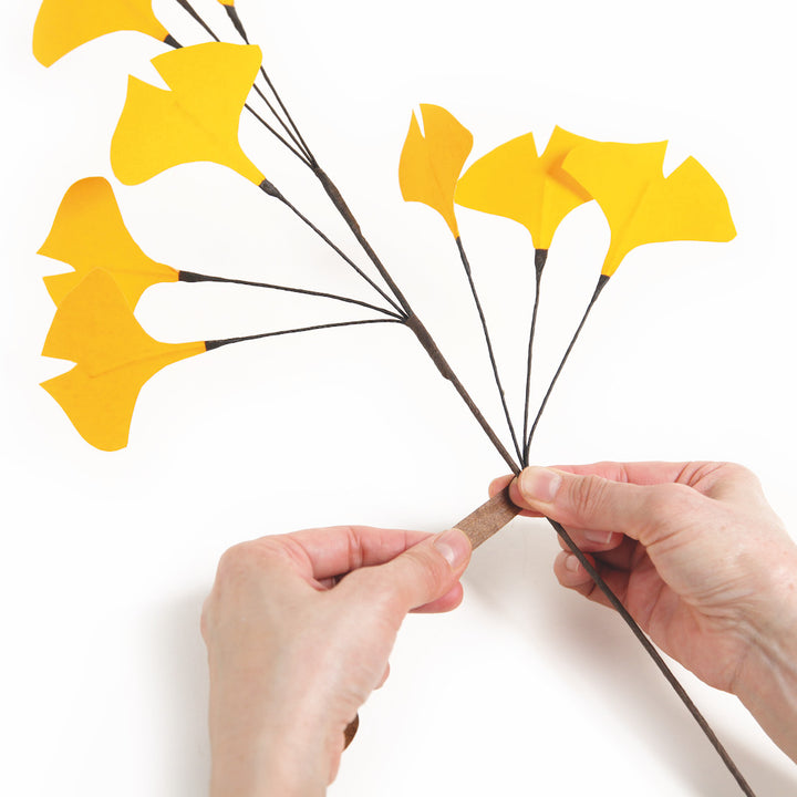 photo packshot du montage des kit 3 branches de ginkgo adeline klam