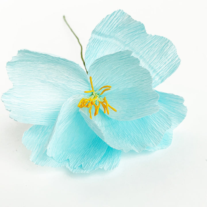 Colle Blanche - Prise Rapide, Bouchon de Précision - 118 mL