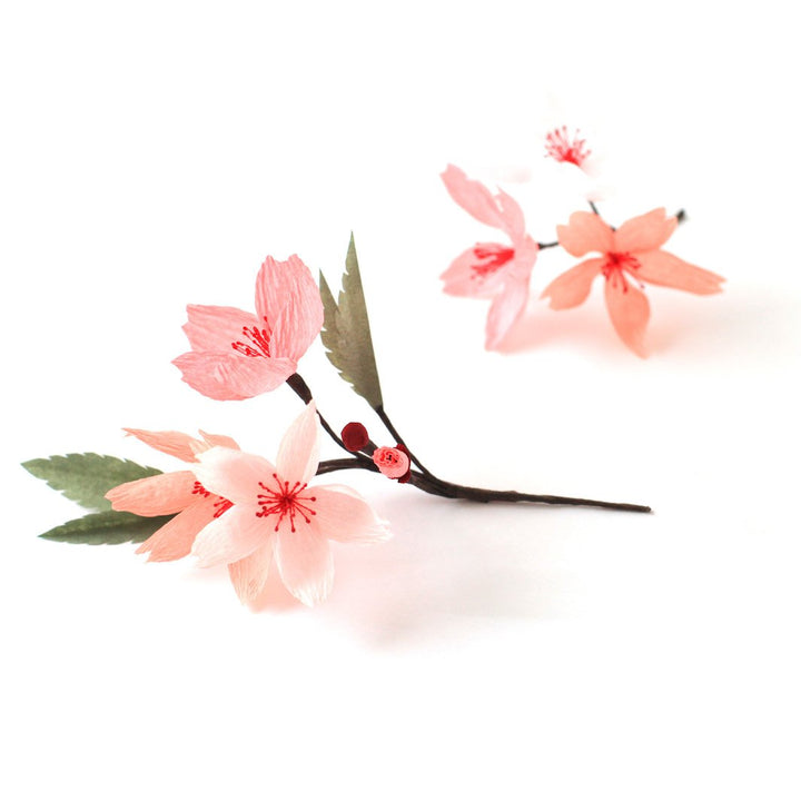 Colle Blanche - Prise Rapide, Bouchon de Précision - 118 mL