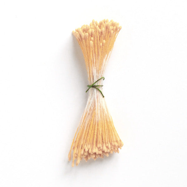 Pistils de fleur Abricot