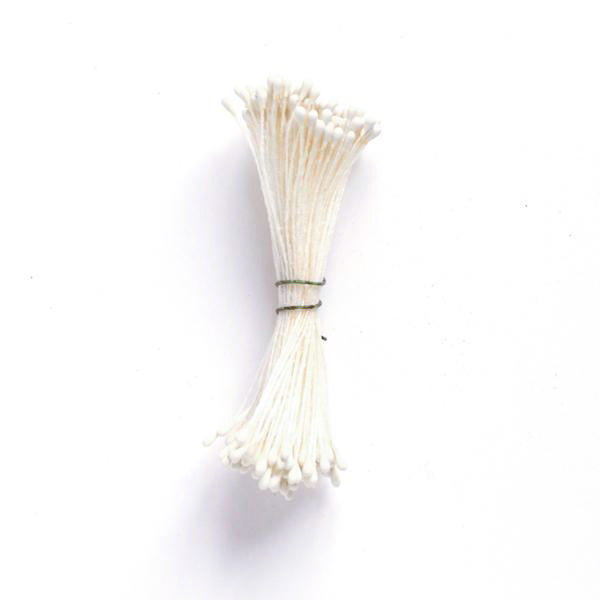 Fagot de pistils de fleurs - Beige - 1030