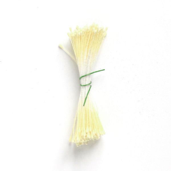 Pistils de fleur Jaune pâle