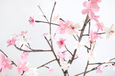 CREATIVE IDEA Cherry Blossom Branch 