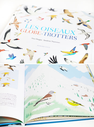 Les illustrations de S.Thommen dans le livre "Les Oiseaux Globe-Trotteurs"