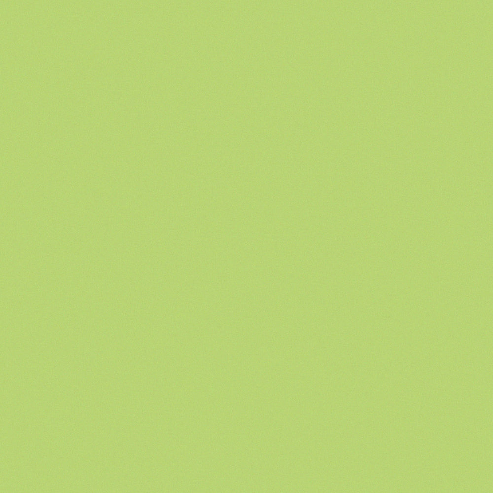 aplat coloré du papier japonais yuzen chiyogami uni vert jardin adeline klam (U594)