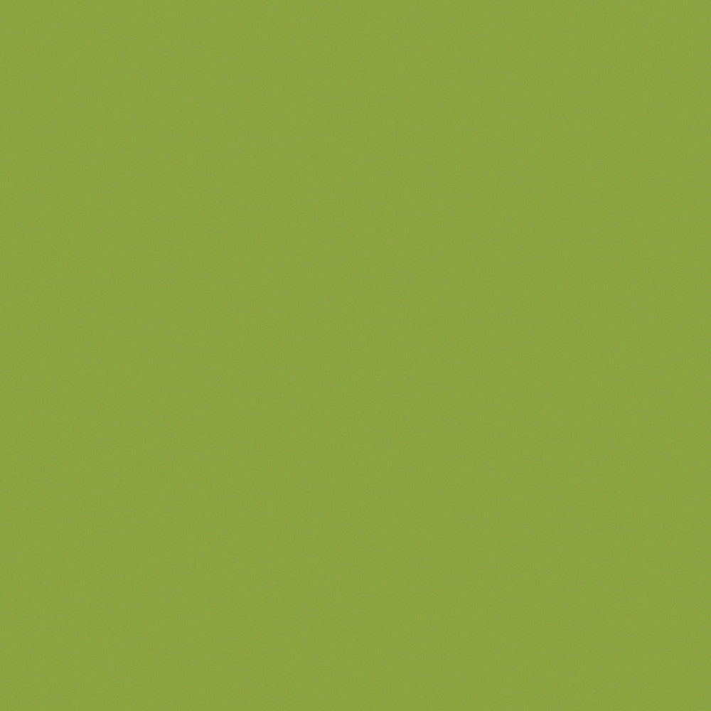 aplat coloré du papier japonais yuzen chiyogami uni vert olive adeline klam (U1044)