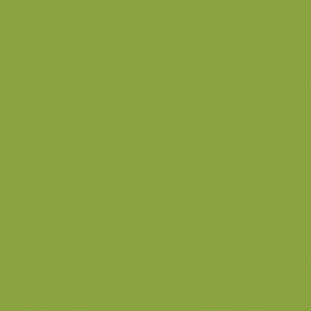 aplat coloré du papier japonais yuzen chiyogami uni vert olive adeline klam (U1044)