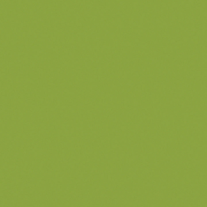 aplat coloré du papier japonais yuzen chiyogami uni vert olive adeline klam (U1044)