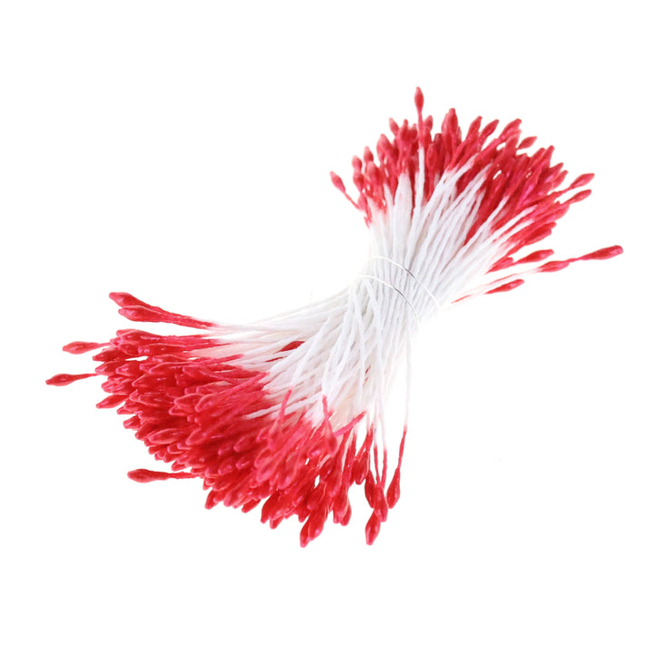 photo packshot du fagot de pistils de fleurs rouge métallisé et blancs 1063