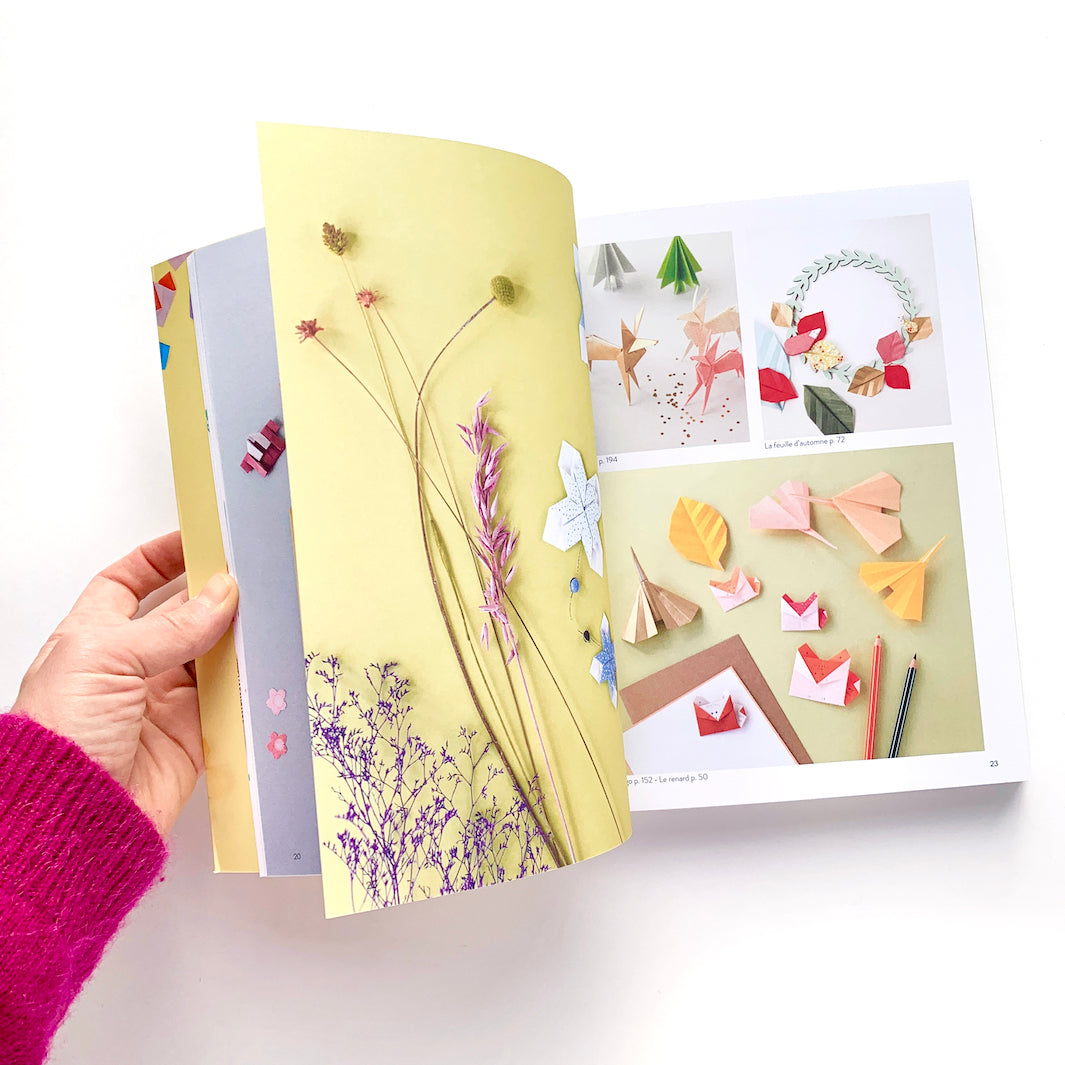 pages 22 et 23 du livre « l'origami comme par magie » tome 2 d'adeline klam