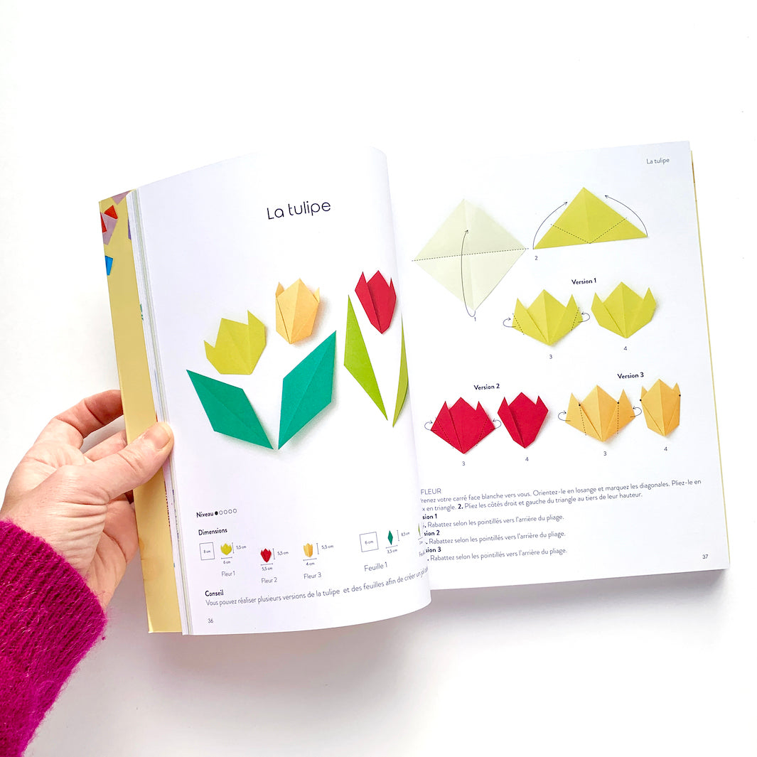 pages 36 et 37 du livre « l'origami comme par magie » tome 2 d'adeline klam