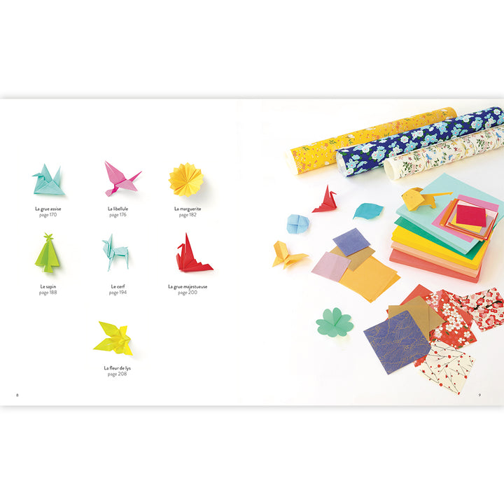 pages 8 et 9 du sommaire du livre « l'origami comme par magie » tome 2 d'adeline klam