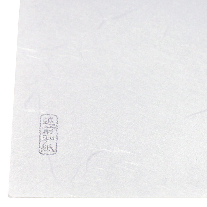 Bloc de 20 Papiers d'Écriture Tairishi – L'Excellence du Washi Japonais