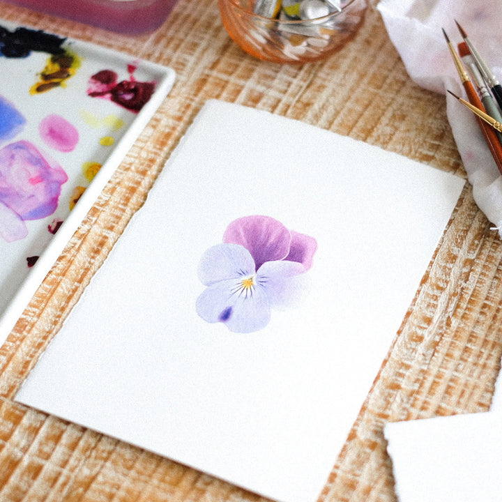 photo d'ambiance de biais de l'atelier d'aquarelle botanique pensée d'anne-solange tardy