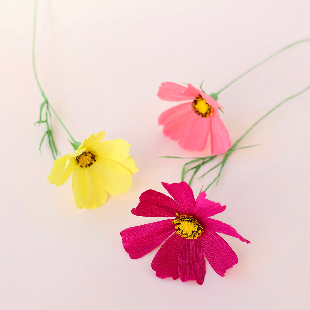 photo d'ambiance des cosmos réalisés et posés à plat du kit bouquet de cosmos en crépon dans les tons rose clair et foncé, corail, jaune et vert moyen adeline klam