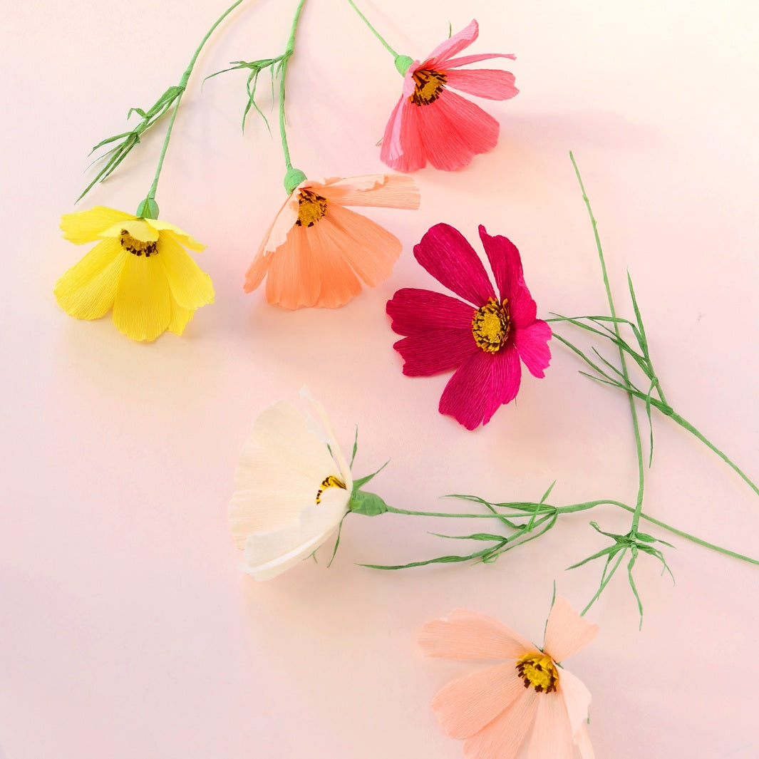 Atelier Cosmos - Samedi 11 Avril 2026 - 15h