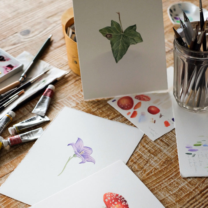 photo d'ambiance de biais des ateliers d'aquarelle botanique champignon, fleur de campanule et de feuille de lierre d'anne-solange tardy