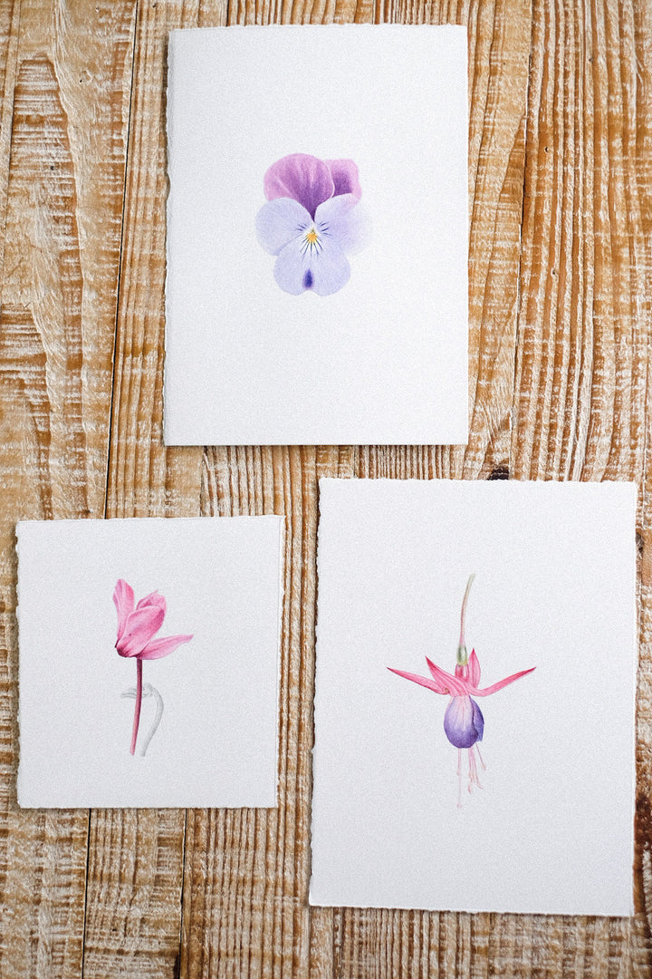 photo d'ambiance de face de l'atelier d'aquarelle botanique pensée, fuchsia et cyclamen d'anne-solange tardy