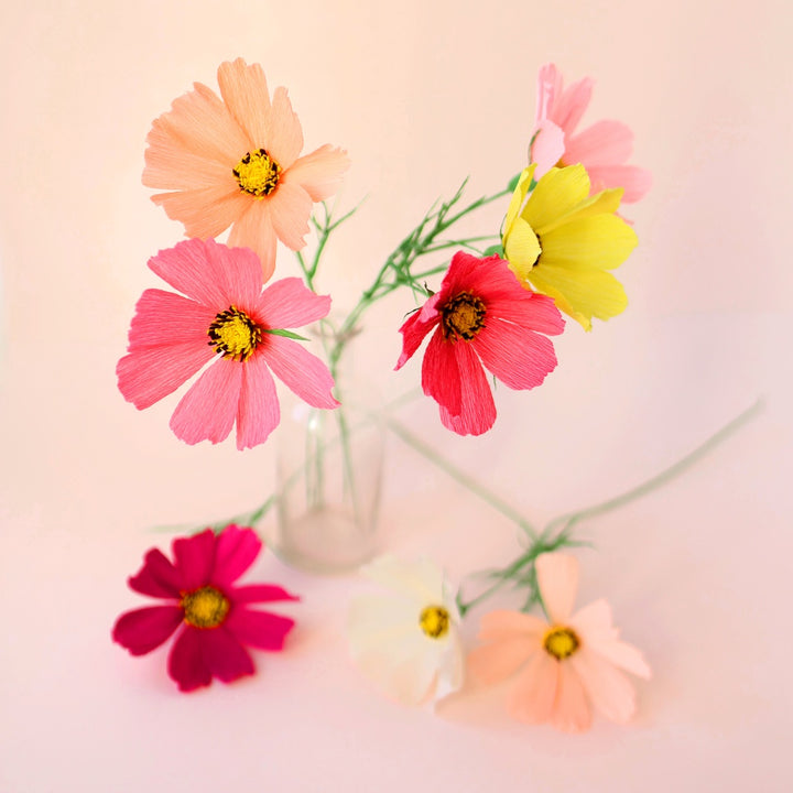 Atelier Cosmos - Samedi 11 Avril 2026 - 15h