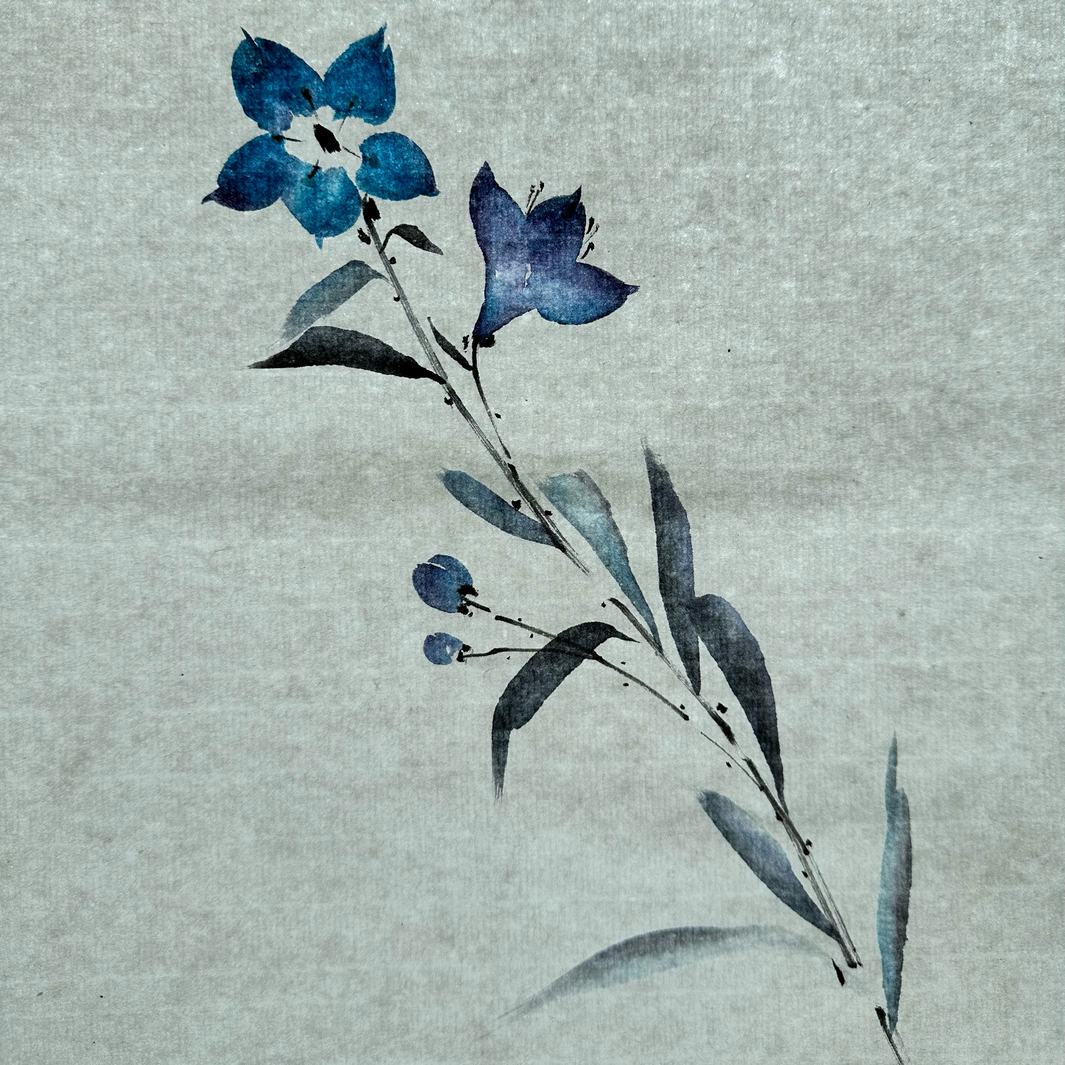 photo d'ambiance d'un dessin de campanules colorées du stage de peinture sumi-e « campanules » en avec morgane boullier