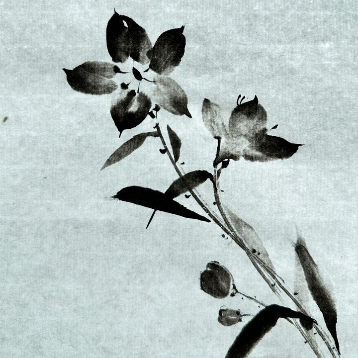 photo d'ambiance d'un dessin de campanules en noir et blanc du stage de peinture sumi-e « campanules » en avec morgane boullier