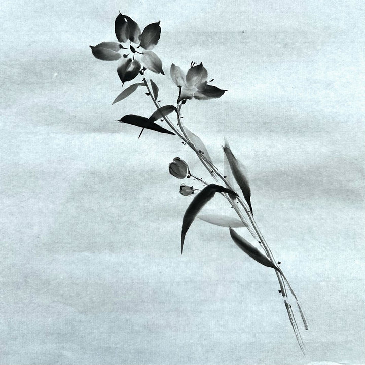photo d'ambiance d'un dessin de campanules en noir et blanc du stage de peinture sumi-e « campanules » en avec morgane boullier