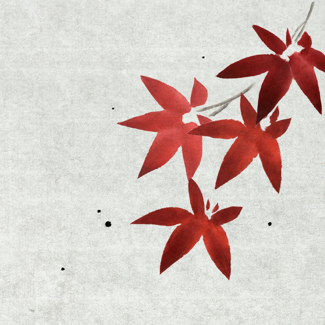 photo d'ambiance d'un dessin de feuilles d'érable du Japon colorées du stage de peinture sumi-e « érable » en avec morgane boullier