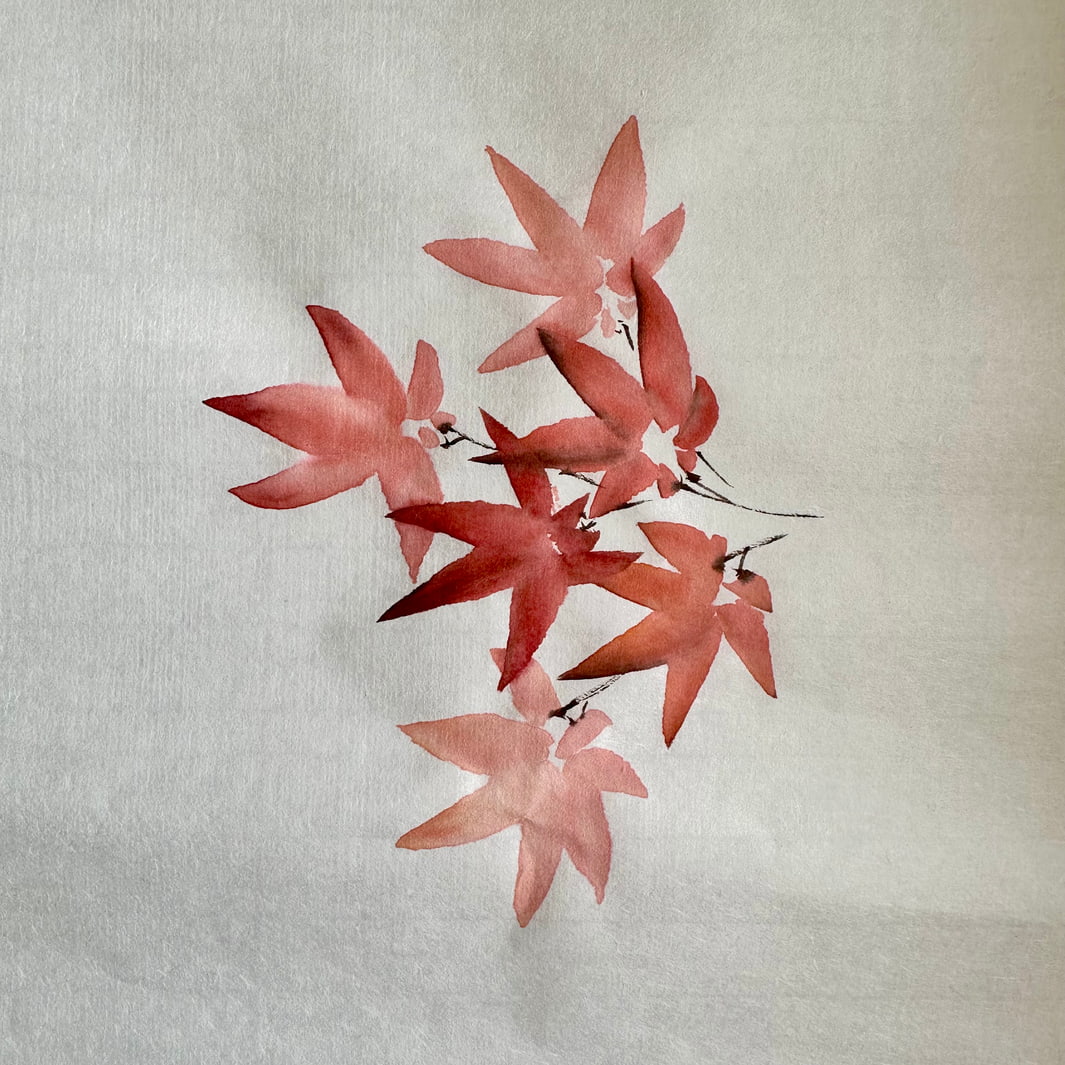 photo d'ambiance d'un dessin de feuilles d'érable du Japon colorées du stage de peinture sumi-e « érable » en avec morgane boullier