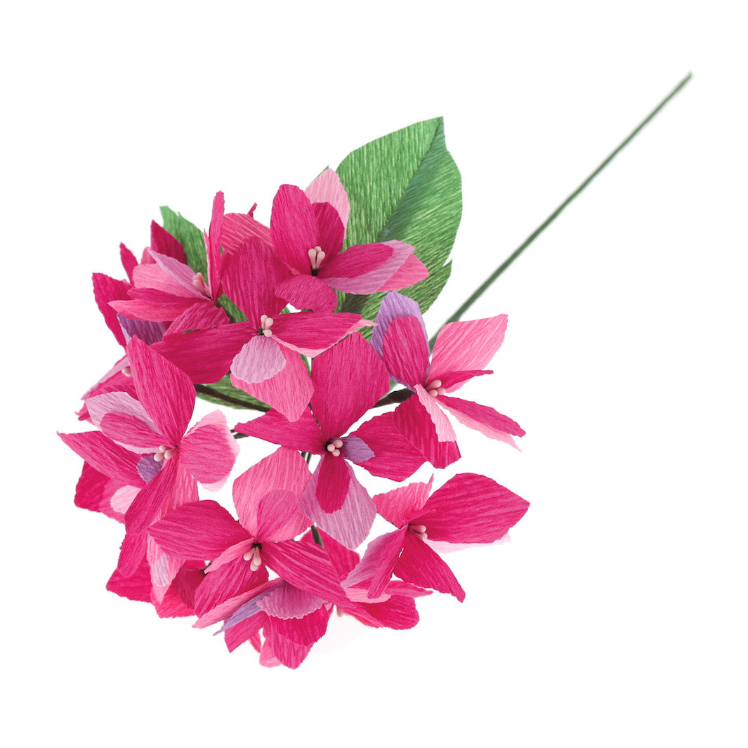 photo packshot de la boule d'hortensia rose fuschia du kit bouquet d'hortensia en crépon dans les tons bleu clair et foncé, rose fuschia et mauve « quimper » adeline klam