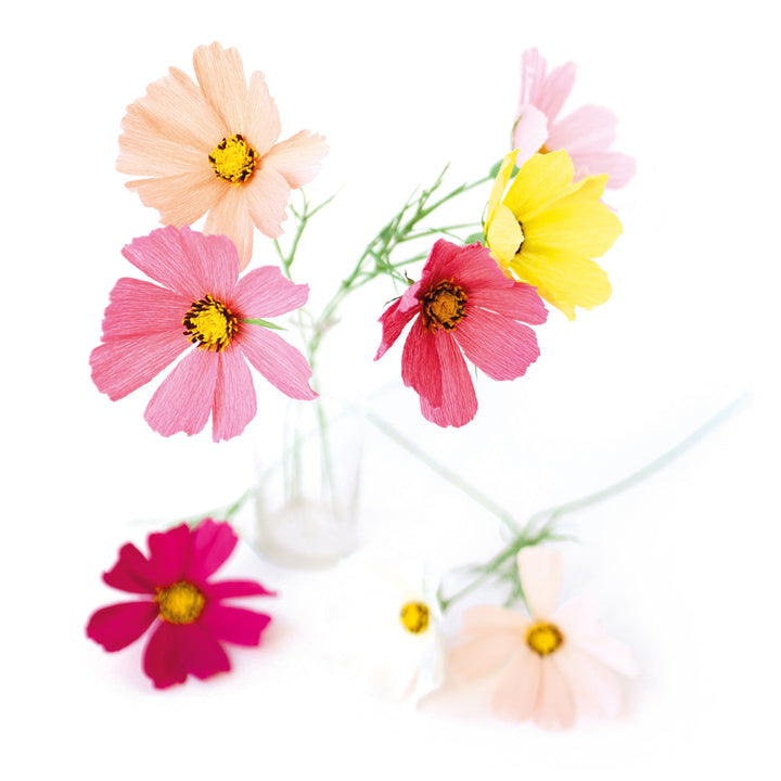 photo packshot des cosmos réalisés et mis en vase du kit bouquet de cosmos en crépon dans les tons rose clair et foncé, corail, jaune et vert moyen adeline klam