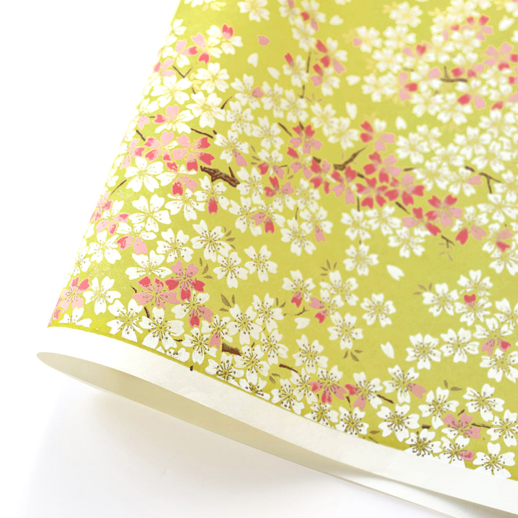 photo packshot d'une courbe de papier japonais yuzen chiyogami au motif de fleurs de cerisier dans les tons vert acidulé, rose clair et moyen, blancs adeline klam (M1058)