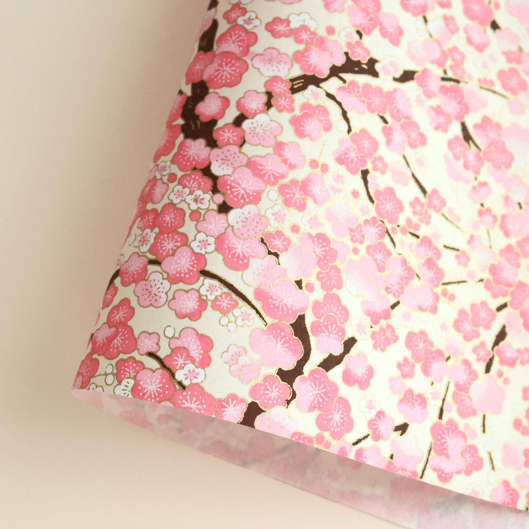 photo packshot d'une courbe de papier japonais yuzen chiyogami aux motifs de fleurs de prunier dans les tons rose clair et moyen, crème adeline klam (M433)