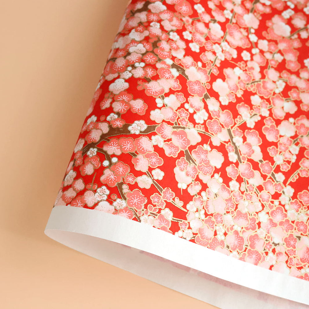 photo packshot d'une courbe de papier japonais yuzen chiyogami aux motifs de fleurs de prunier dans les tons rouges, crème et roses adeline klam (M446)