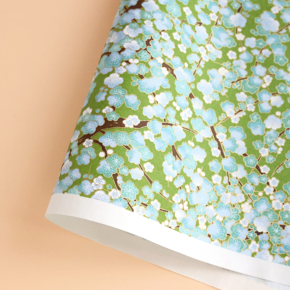 photo packshot d'une courbe de papier japonais yuzen chiyogami aux motifs de fleurs de prunier dans les tons vert moyen, bleu ciel et moyen adeline klam (M449)