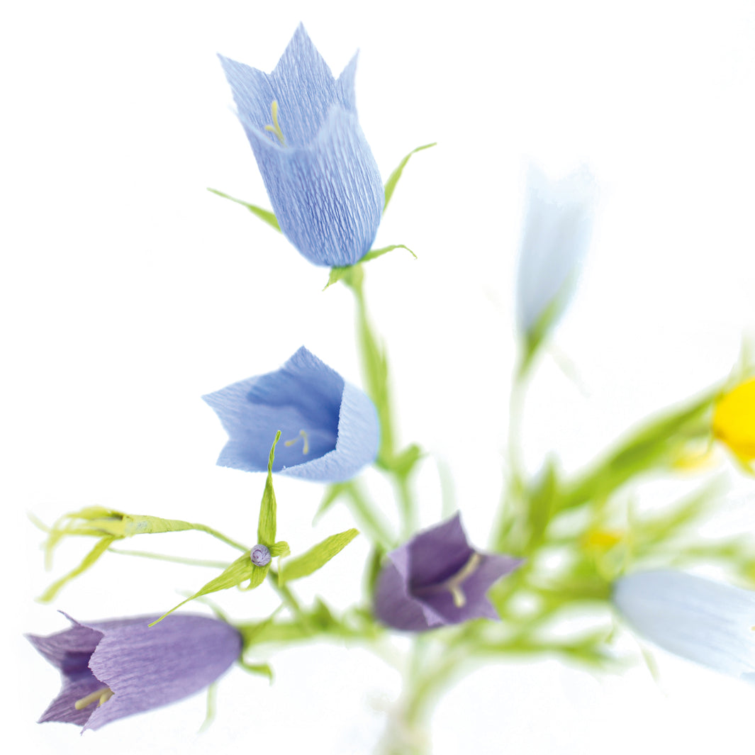 photo packshot d'un détails des campanules bleues et violettes du kit bouquet de campanules en crépon dans les tons bleu violet, bleu ciel, jaunes, ivoire, magenta et vert moyen adeline klam